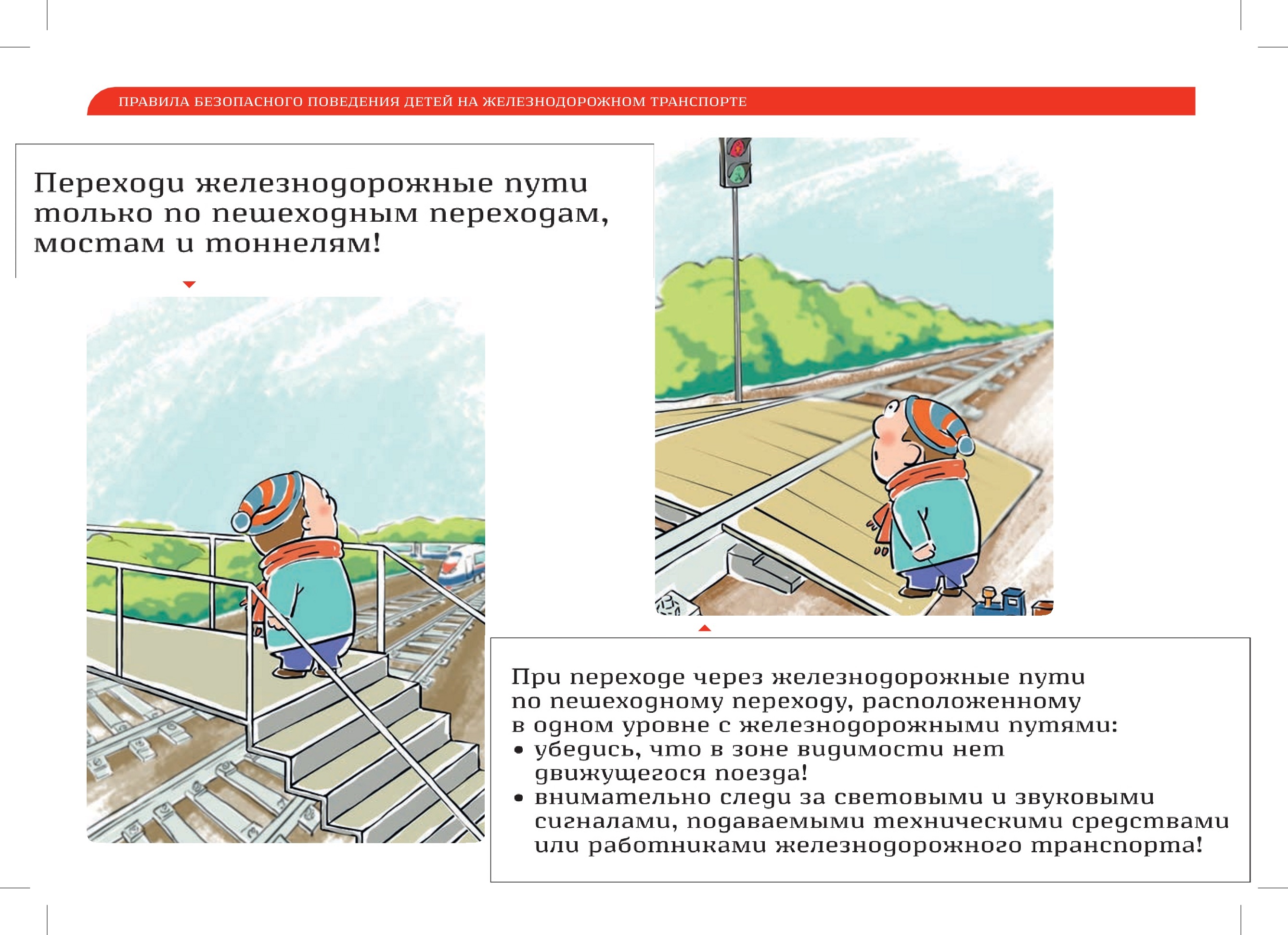 GelDor BG (2).jpg